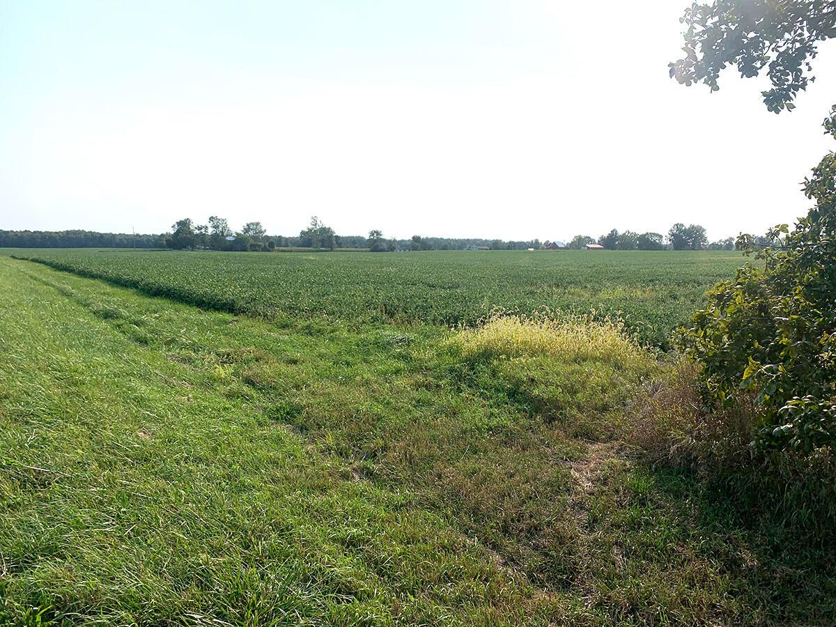 0 Rapp-Dean Road Raymond, OH 43067 - Photo 3 of 29