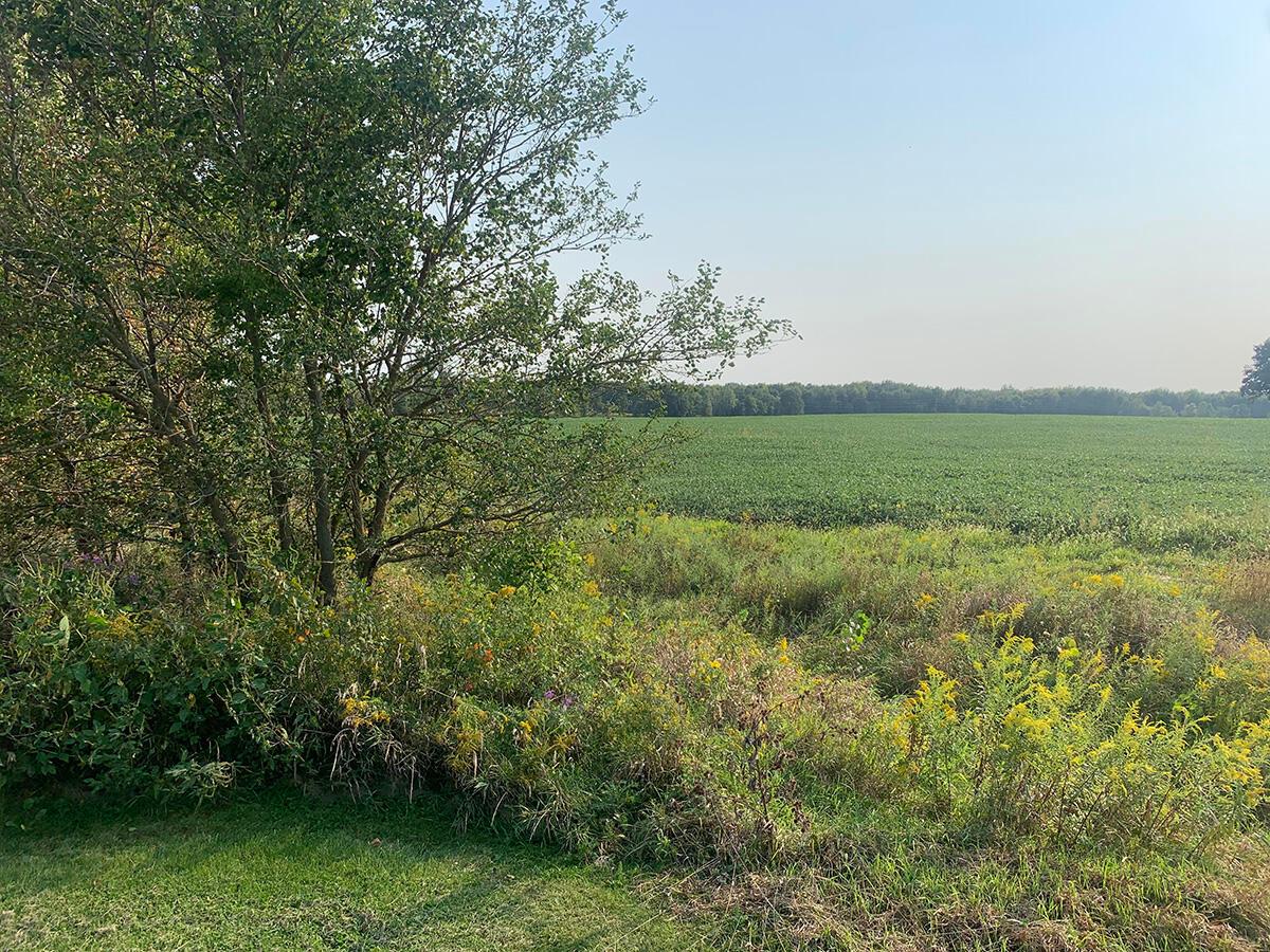 0 Rapp-Dean Road Raymond, OH 43067 - Photo 8 of 29