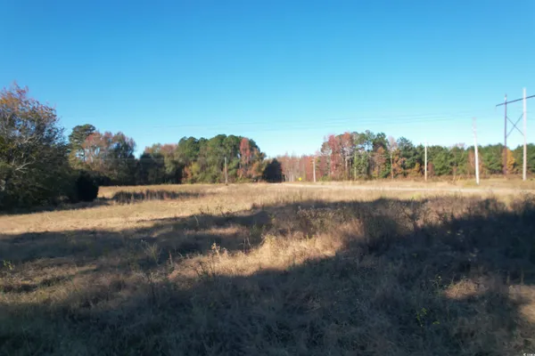 $129,000 | Tbd Carroll Road, Latta, SC 29565