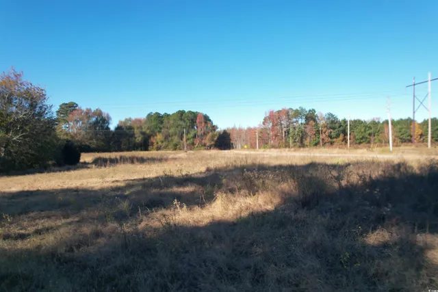 $129,000 | Tbd Carroll Road, Latta, SC 29565