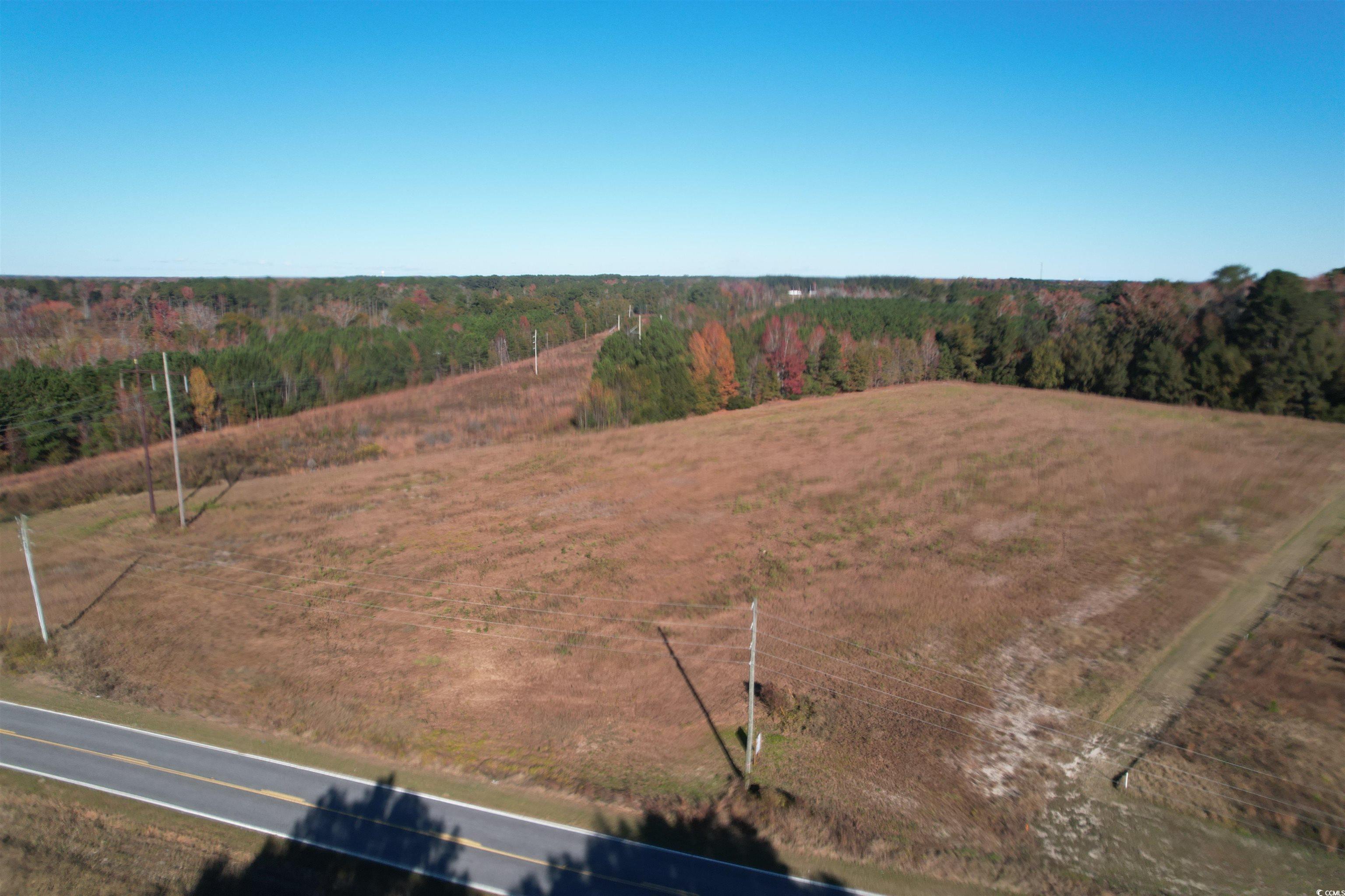 Tbd Carroll Road Latta, SC 29565 - Photo 3 of 10 View of rural area featuring a forest