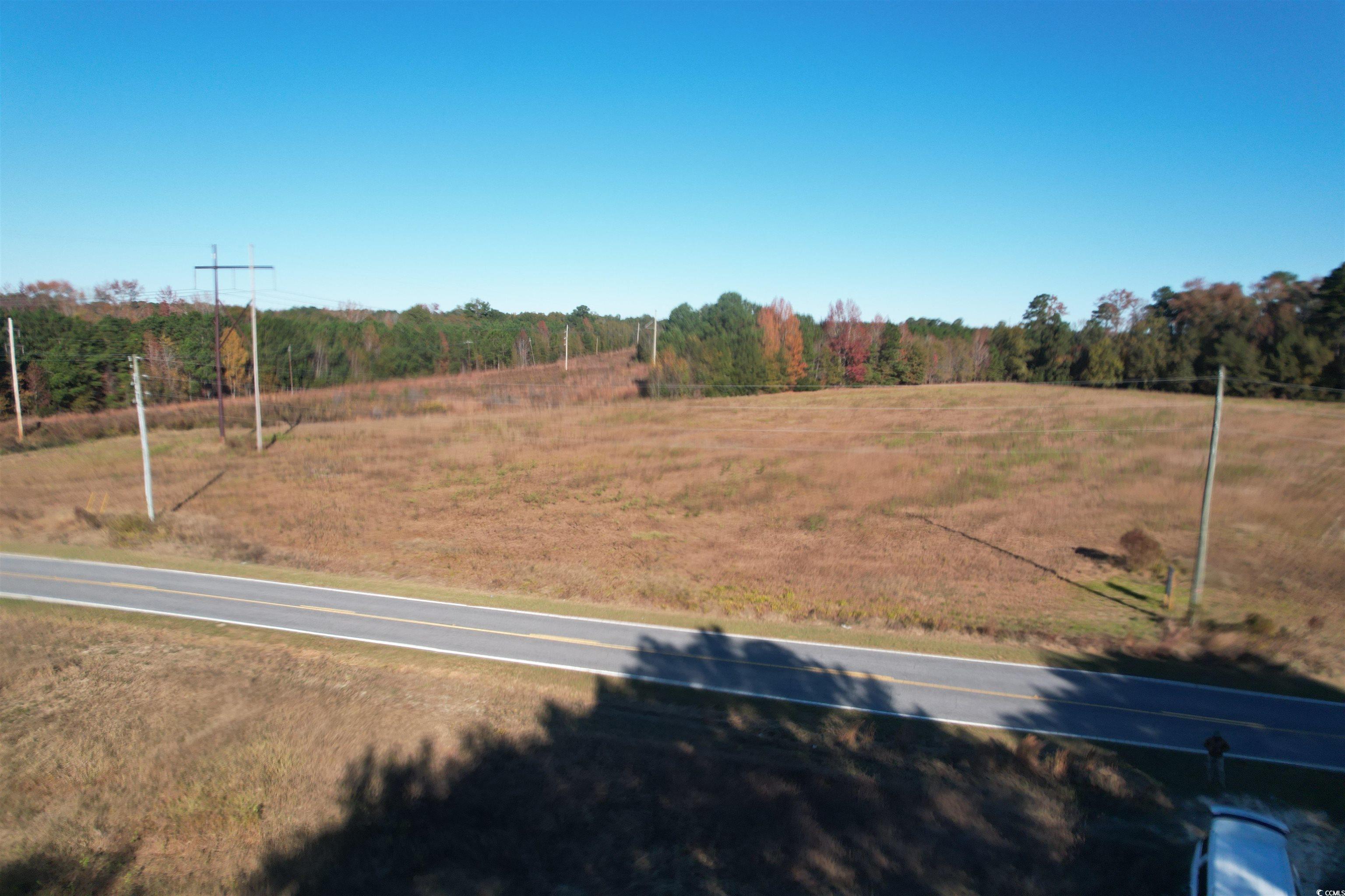 Tbd Carroll Road Latta, SC 29565 - Photo 5 of 10 View of asphalt street with a view of rural / pastoral area