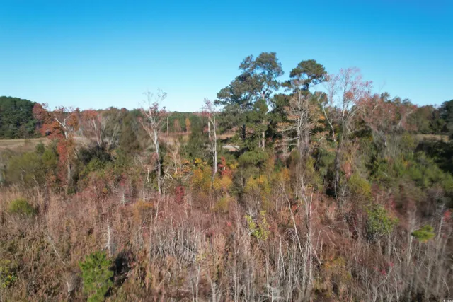 $129,000 | Tbd Carroll Road, Latta, SC 29565