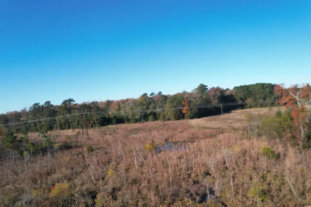 $129,000 | Tbd Carroll Road, Latta, SC 29565