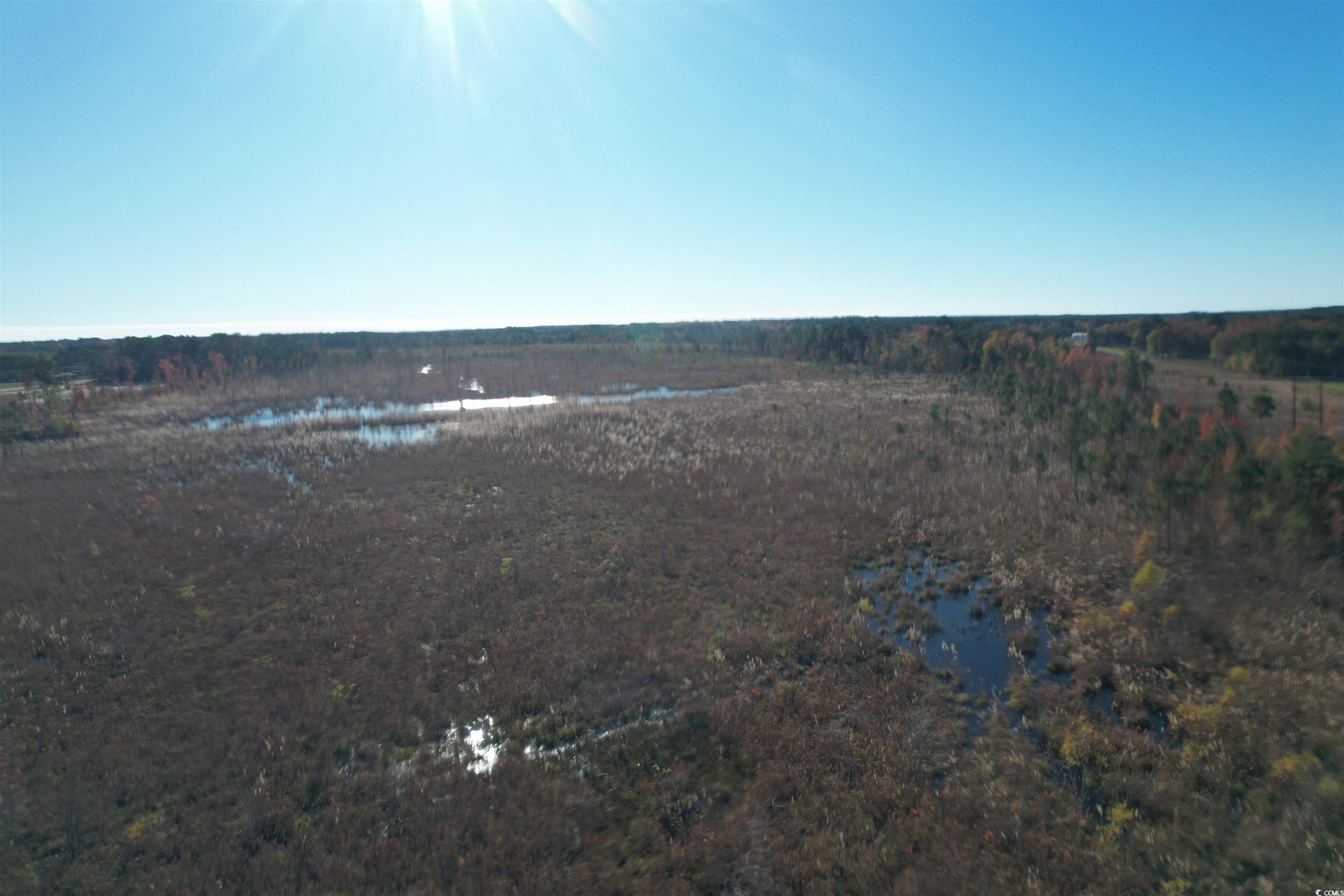 Tbd Carroll Road Latta, SC 29565 - Photo 8 of 10 View of undeveloped land featuring a nearby body of water