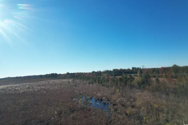 $129,000 | Tbd Carroll Road, Latta, SC 29565