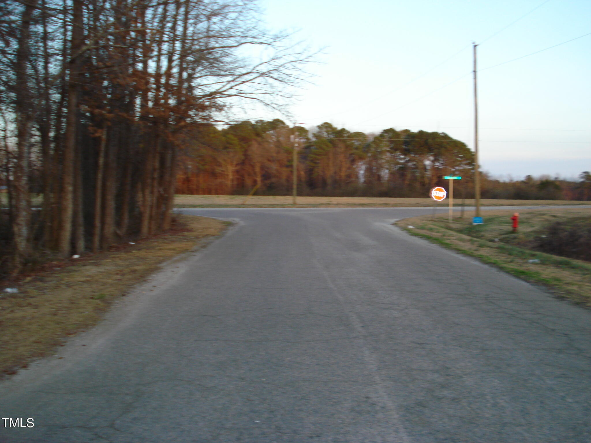 0 Raiford Road Erwin, NC 28339 - Photo 11 of 14 DSC08790