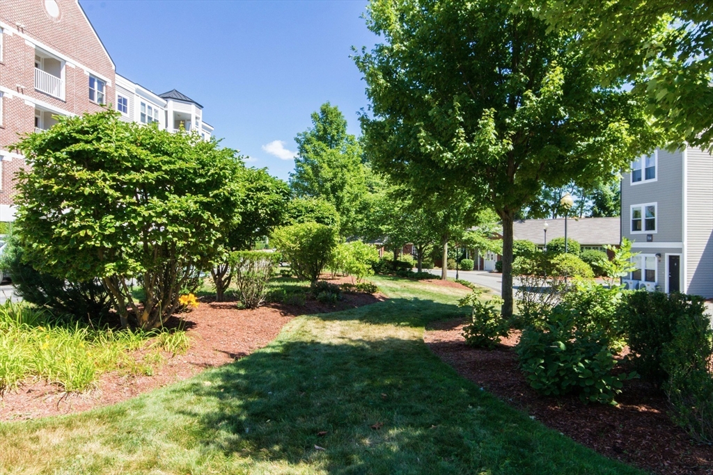 318 Rindge Avenue, Unit 304 Cambridge, MA 02140 - Photo 14 of 27
