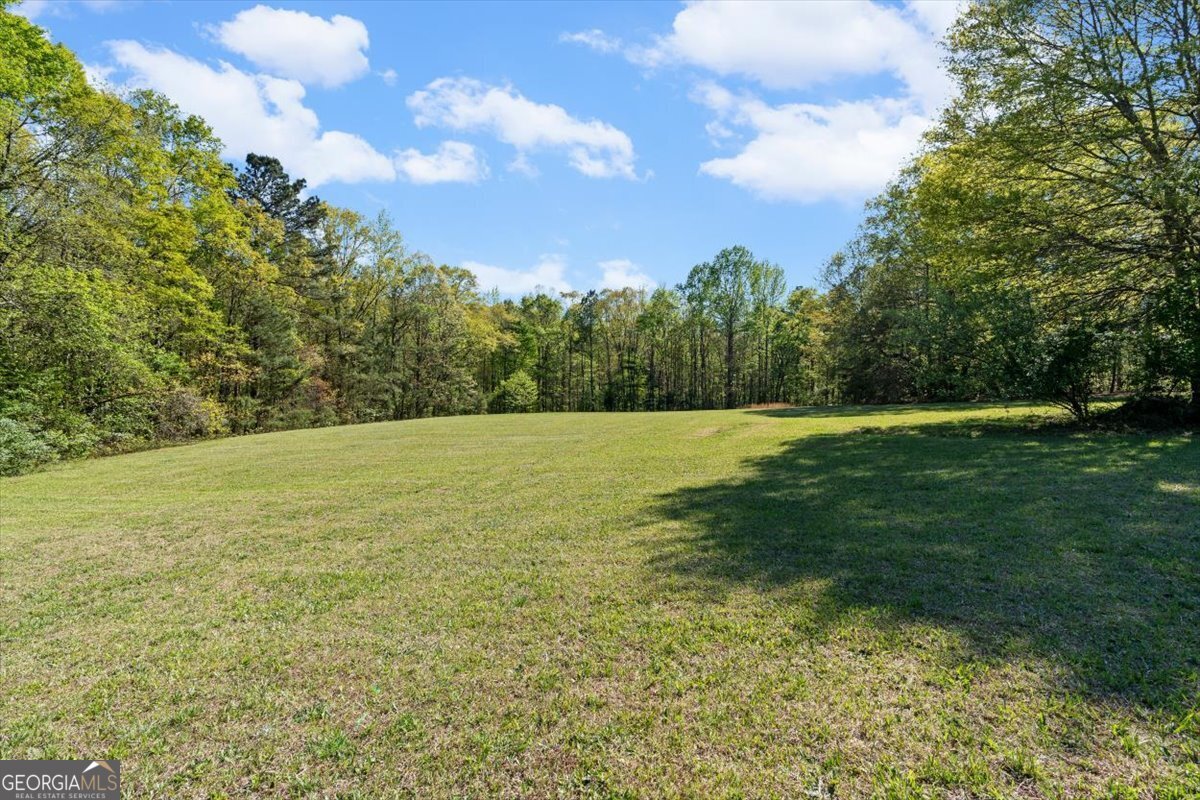 812 Pine Grove Road Tallapoosa, GA 30176 - Photo 47 of 47