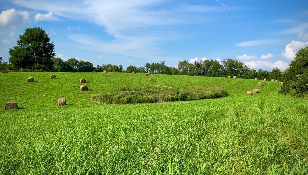 7900 Ecton Road Winchester, KY 40391 - Photo 36 of 44 117379_50