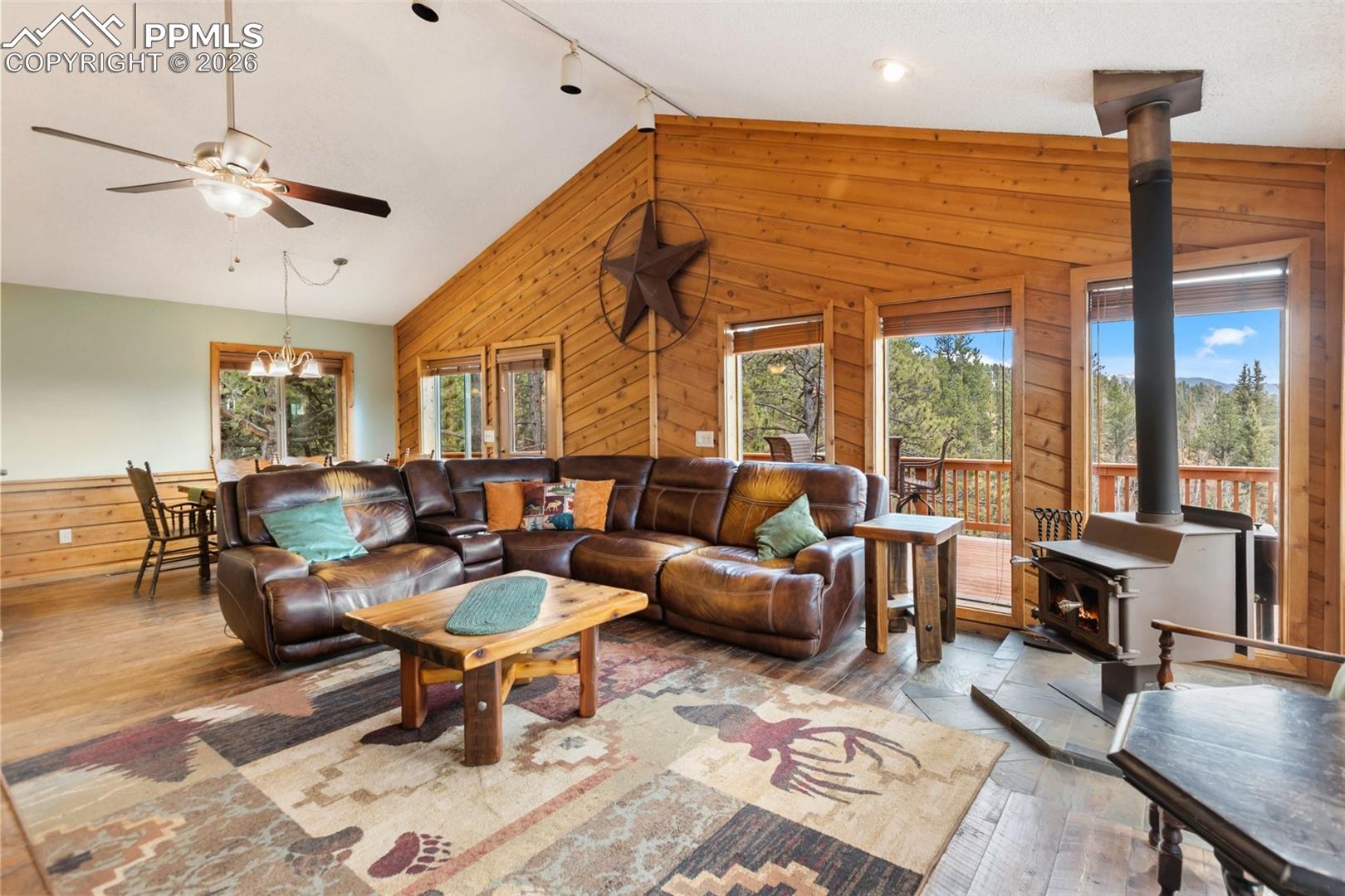 164 Spring Valley Circle Divide, CO 80814 - Photo 14 of 49 Gallery Image 14