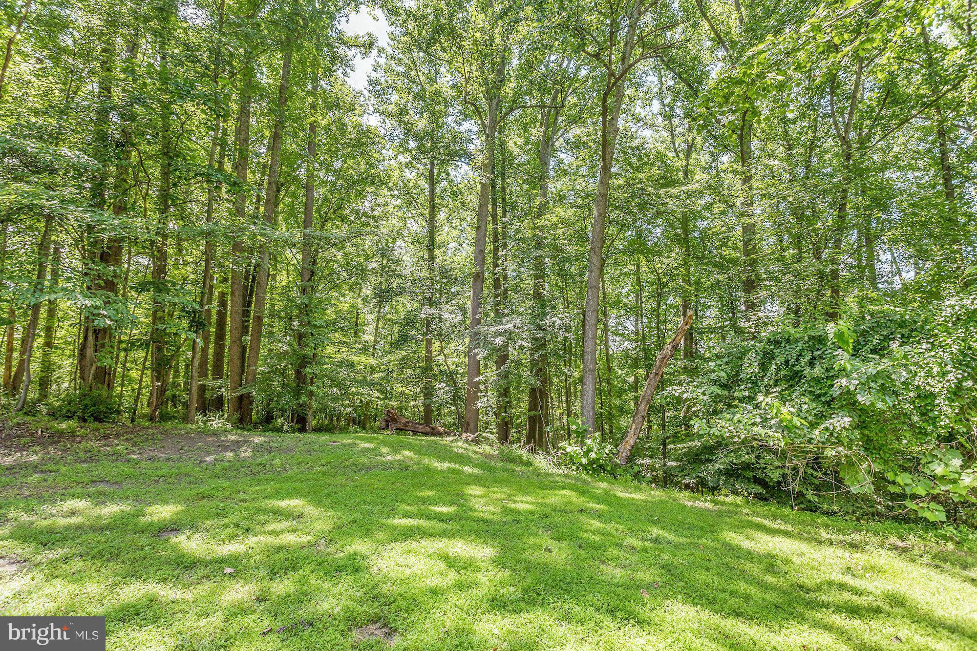 1234 Sparks Road Sparks, MD 21152 - Photo 29 of 30 Backyard