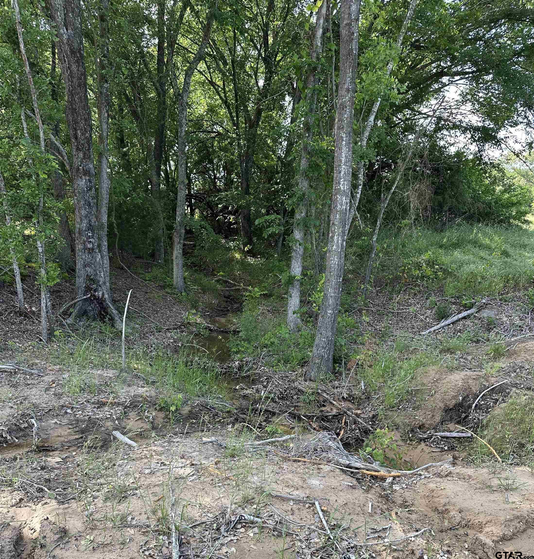 388 C R 3160 Emory, TX 75440 - Photo 8 of 13 a view of forest