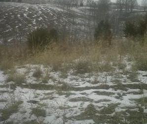 0 Siry Road California, KY 41007 - Photo 2 of 2 Gallery Image 2