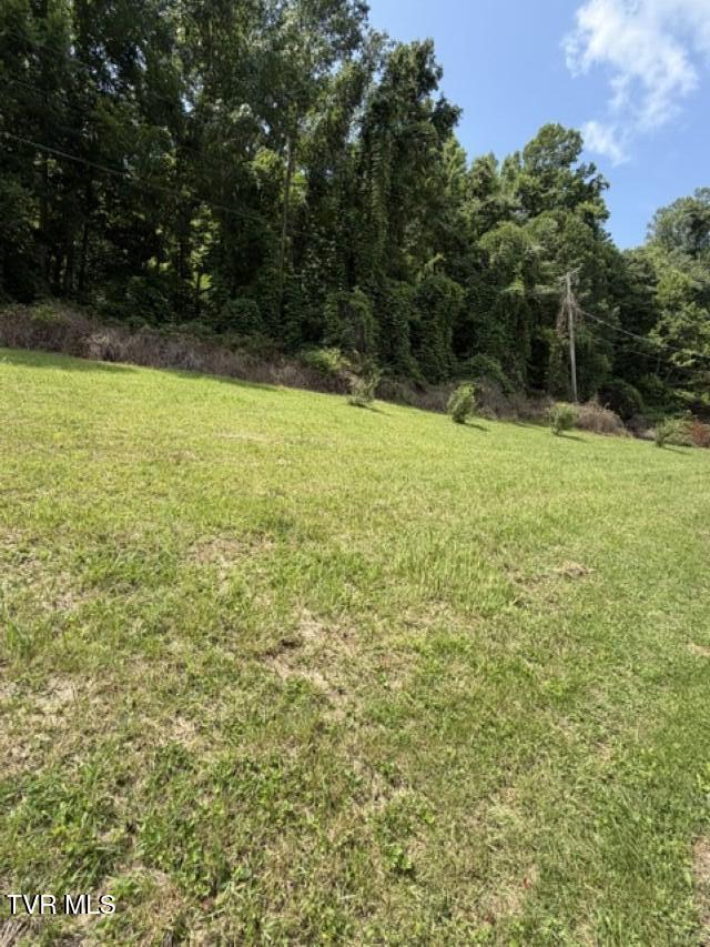 1347 Manville Road Gate City, VA 24251 - Photo 12 of 28 IMG_0286 (Custom)