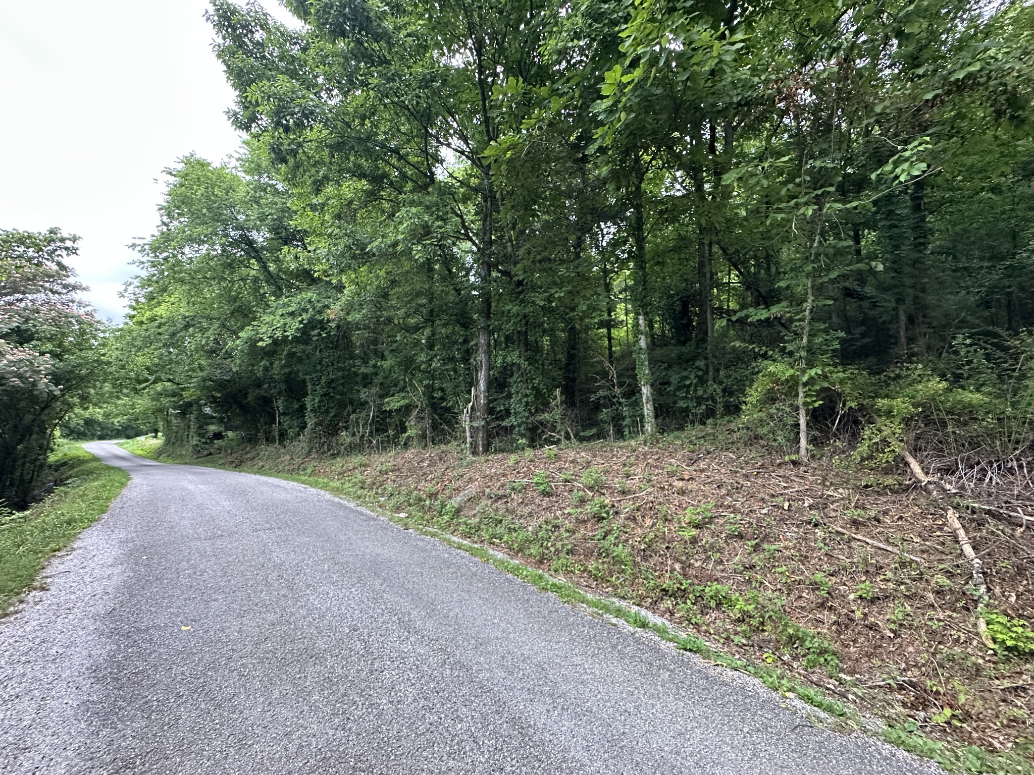 17 Hackett Valley Road Hickman, TN 38567 - Photo 3 of 9