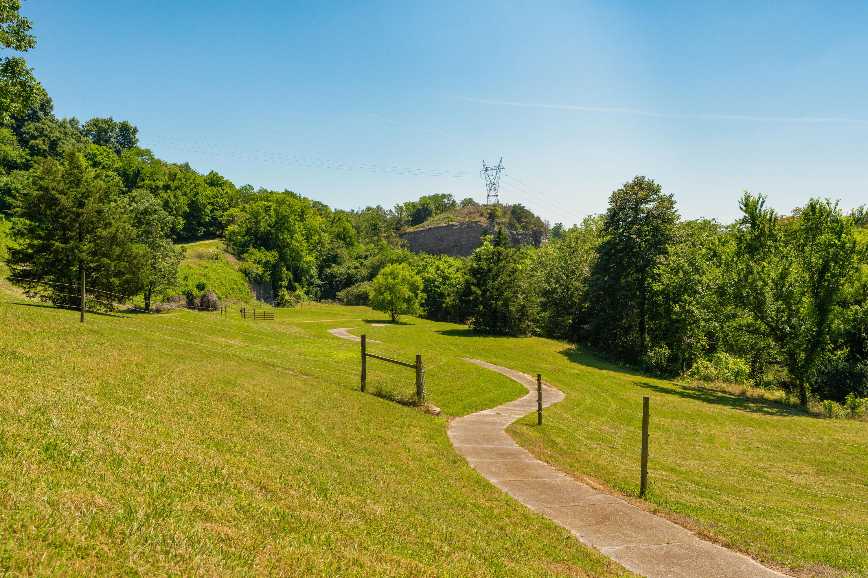 527 Reads Lake Road Chattanooga, TN 37415 - Photo 89 of 100 112 - 527 Reads Lake - Grounds