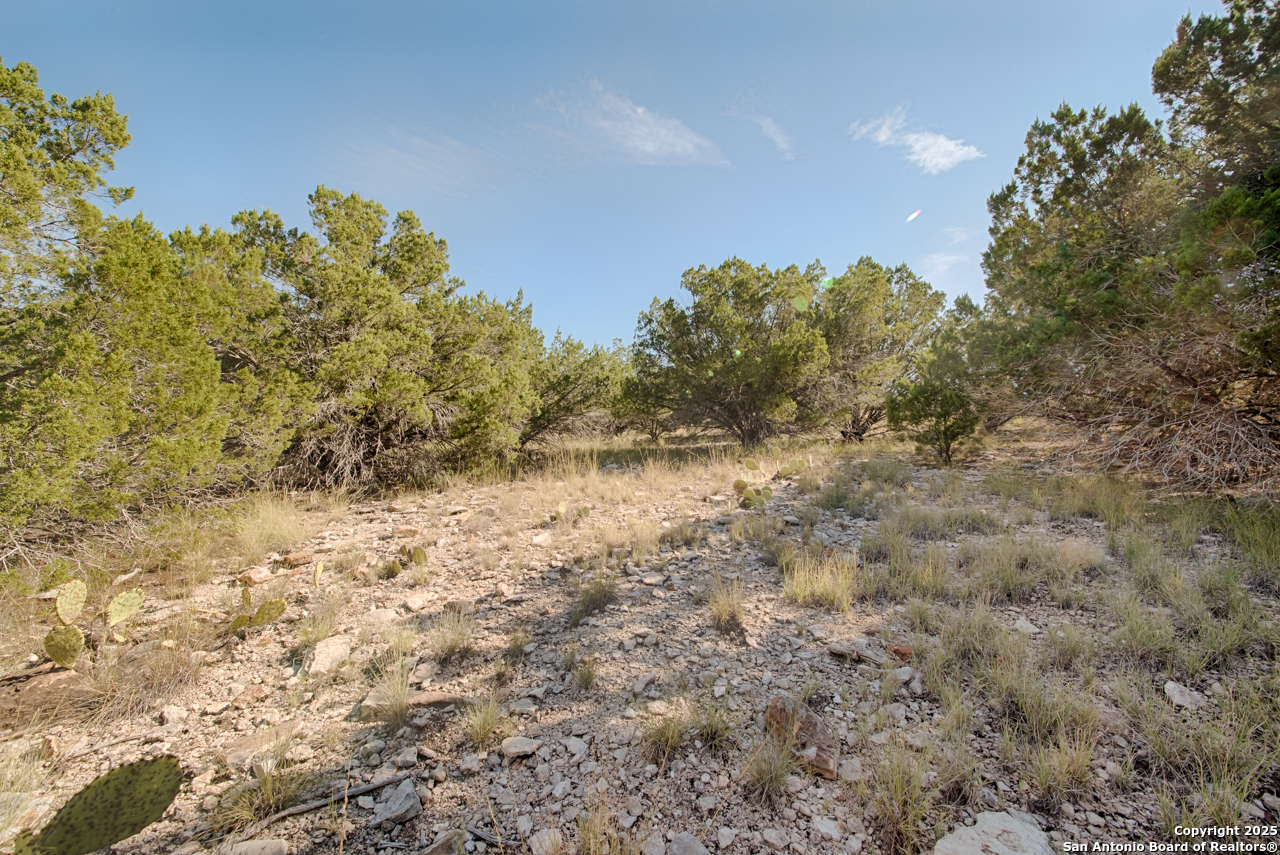 1242 Seven Hls Drive Junction, TX 76849 - Photo 11 of 26