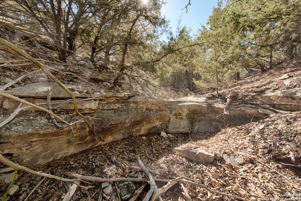 1242 Seven Hls Drive Junction, TX 76849 - Photo 15 of 26