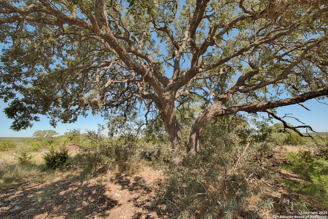 1242 Seven Hls Drive Junction, TX 76849 - Photo 23 of 26