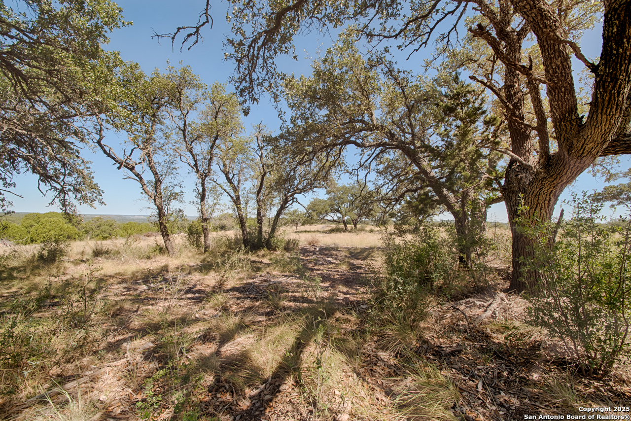 1242 Seven Hls Drive Junction, TX 76849 - Photo 8 of 26