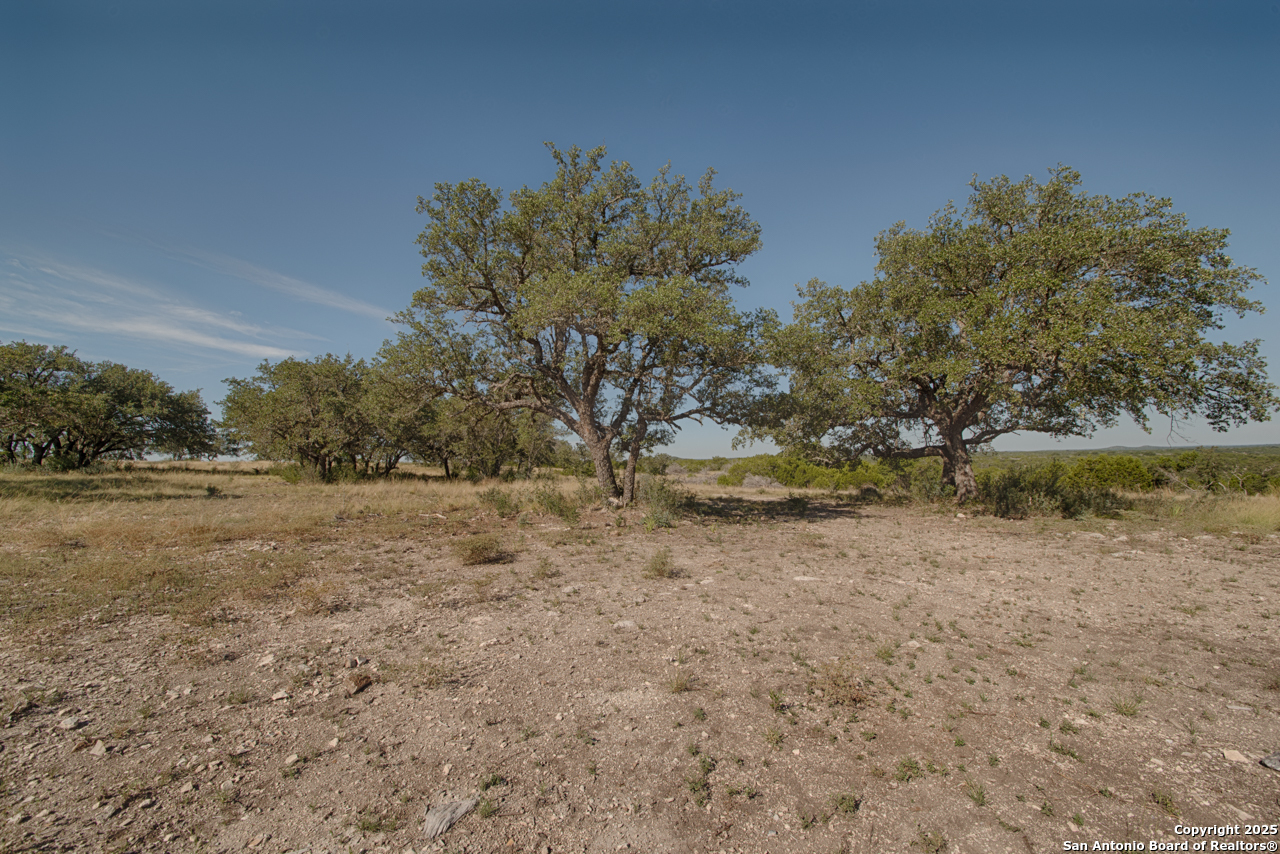 1242 Seven Hls Drive Junction, TX 76849 - Photo 9 of 26