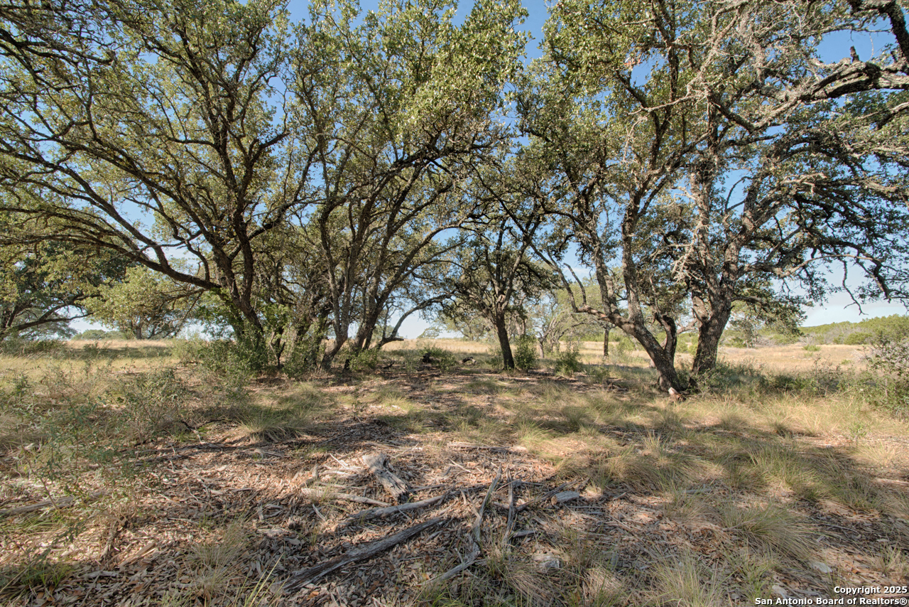 1242 Seven Hls Drive Junction, TX 76849 - Photo 10 of 26