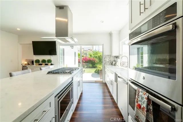 a kitchen with stainless steel appliances a stove top oven a sink a chimney and a potted plant