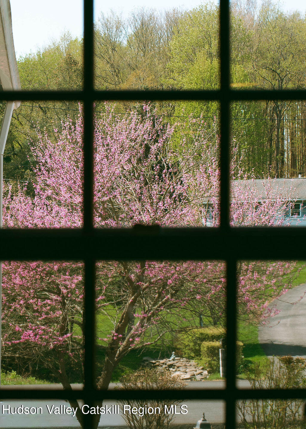 93 Horton Road Washingtonville, NY 10992 - Photo 50 of 53 93 through window to cherry blossom