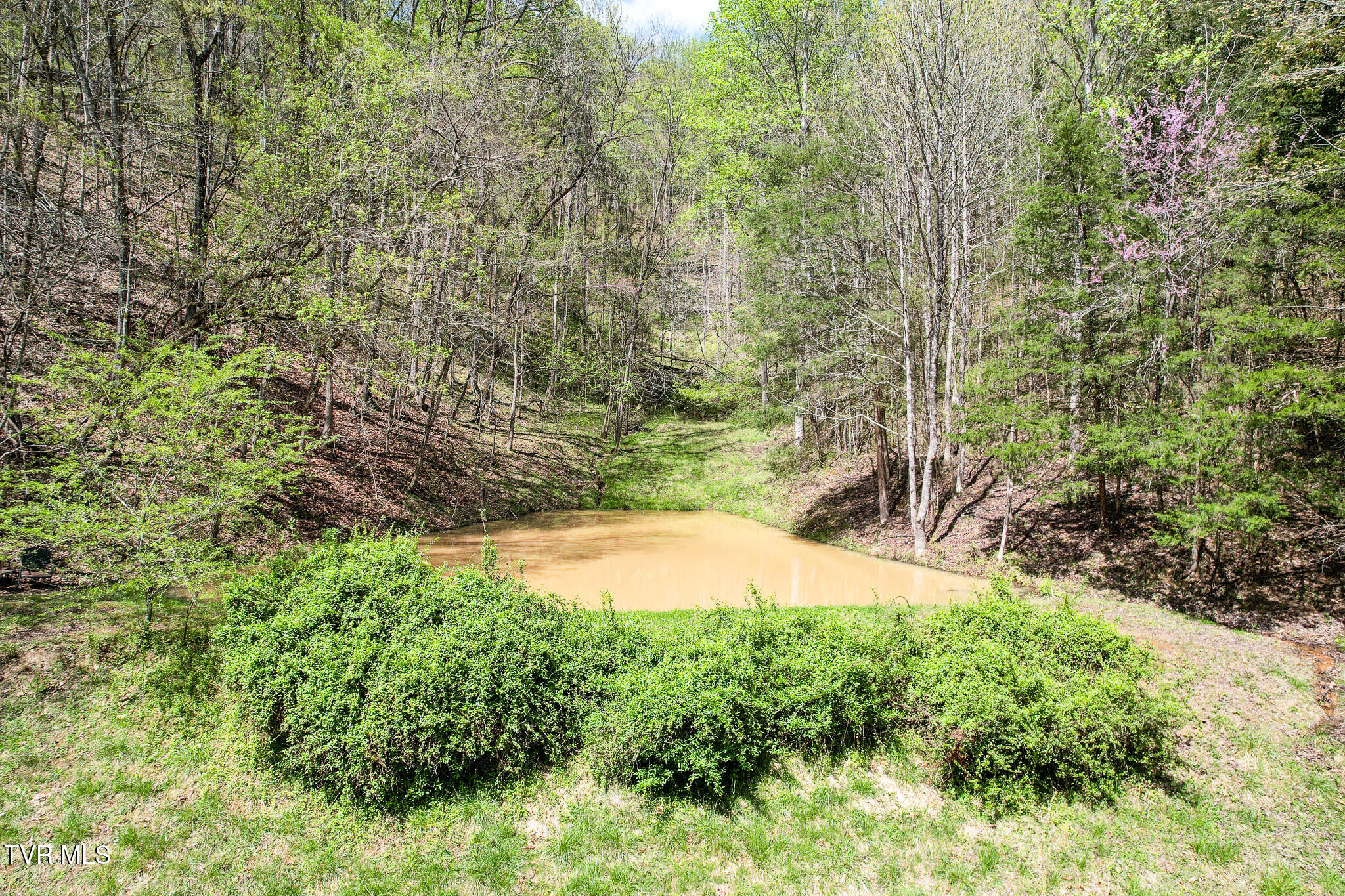 1922 Stair Road Bybee, TN 37713 - Photo 54 of 68 62