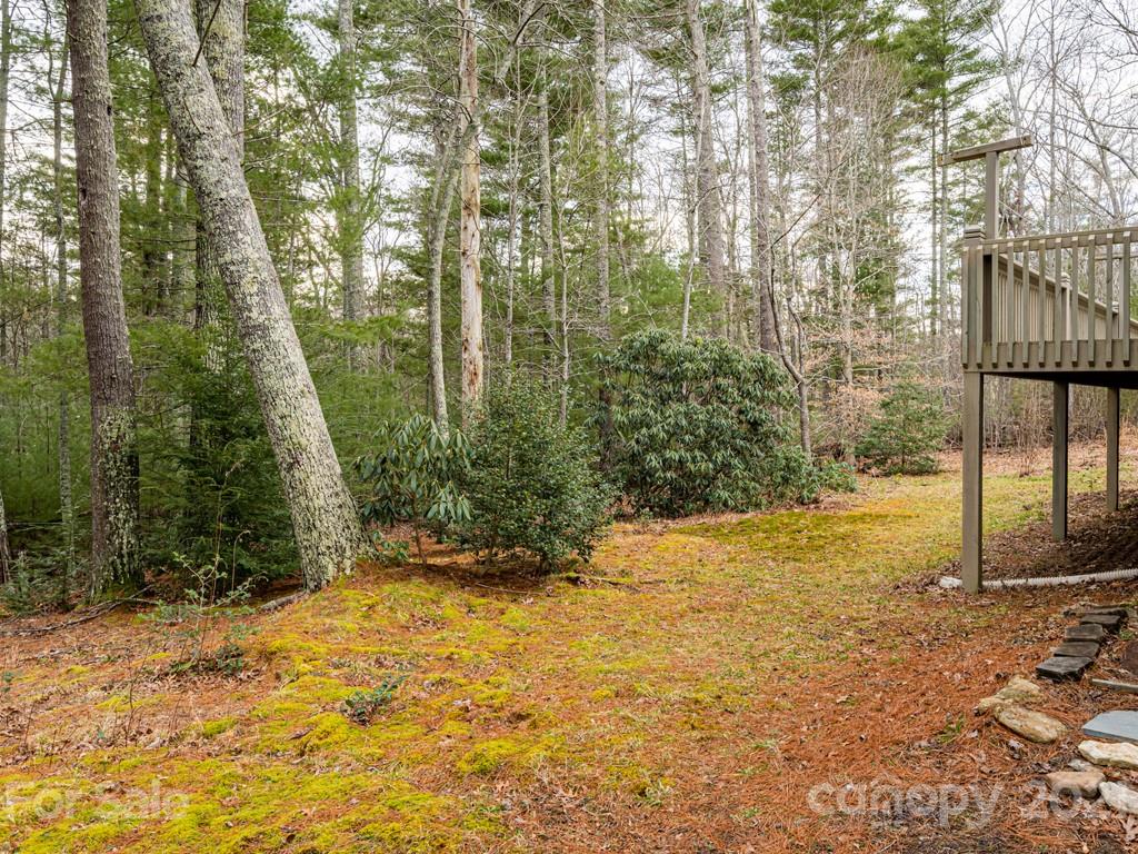 154 Joe Jenkins Road Fairview, NC 28730 - Photo 28 of 33 Gallery Image 28