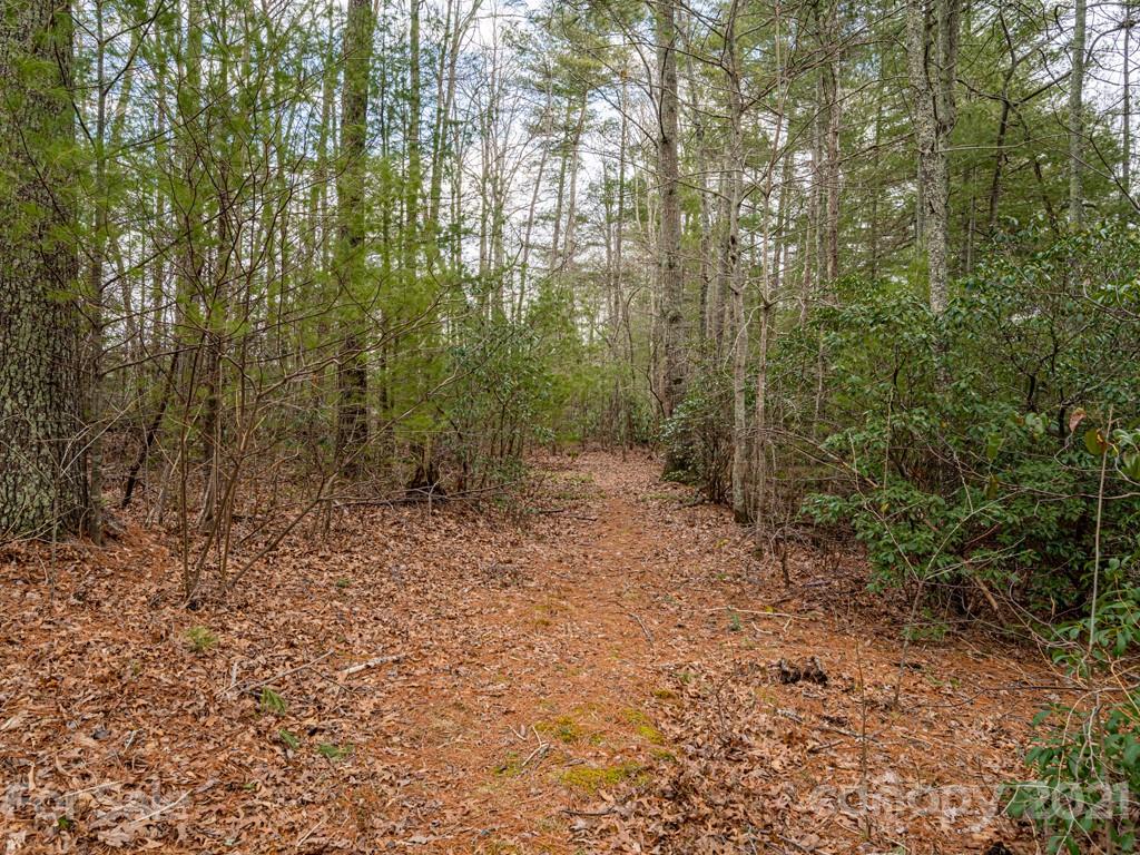 154 Joe Jenkins Road Fairview, NC 28730 - Photo 29 of 33 Gallery Image 29