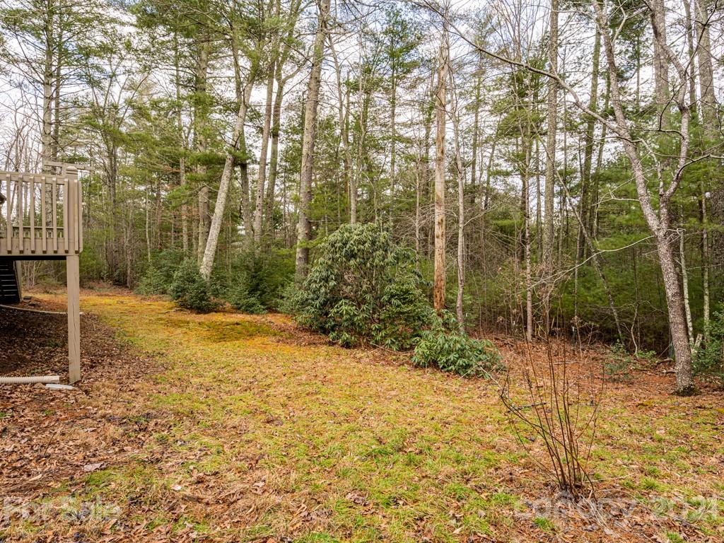 154 Joe Jenkins Road Fairview, NC 28730 - Photo 32 of 33 Gallery Image 32
