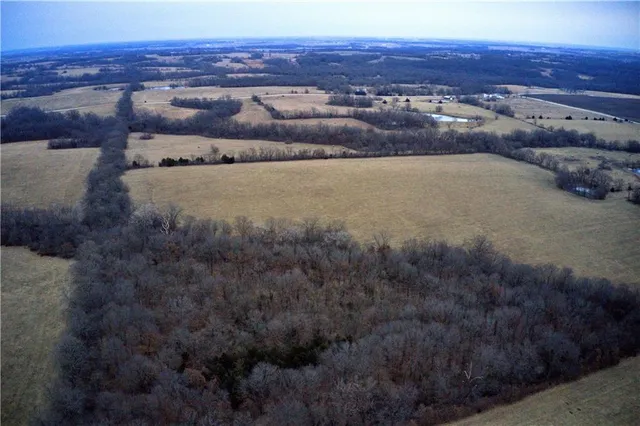 $919,800 | Rodeo Avenue, Brunswick, MO 65236