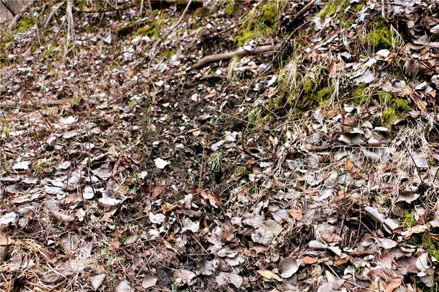 $919,800 | Rodeo Avenue, Brunswick, MO 65236