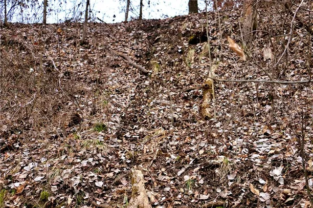 $919,800 | Rodeo Avenue, Brunswick, MO 65236