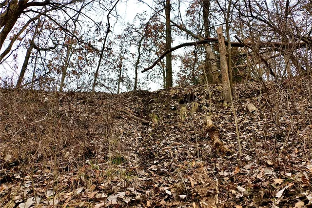 $919,800 | Rodeo Avenue, Brunswick, MO 65236