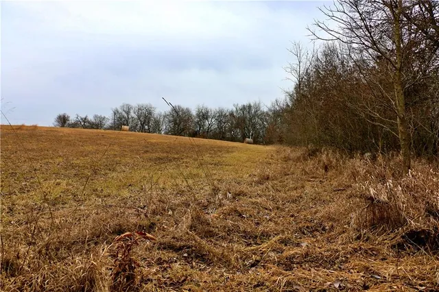 $919,800 | Rodeo Avenue, Brunswick, MO 65236