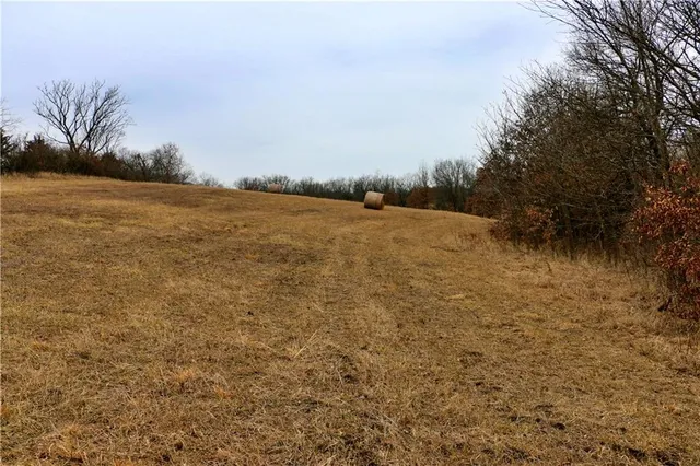 $919,800 | Rodeo Avenue, Brunswick, MO 65236