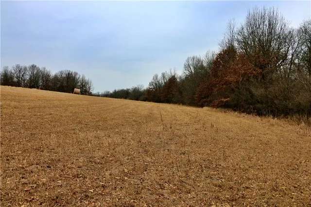 $919,800 | Rodeo Avenue, Brunswick, MO 65236