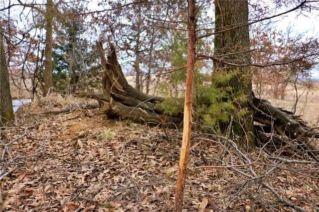 $919,800 | Rodeo Avenue, Brunswick, MO 65236