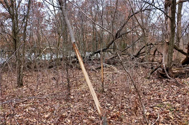 $919,800 | Rodeo Avenue, Brunswick, MO 65236