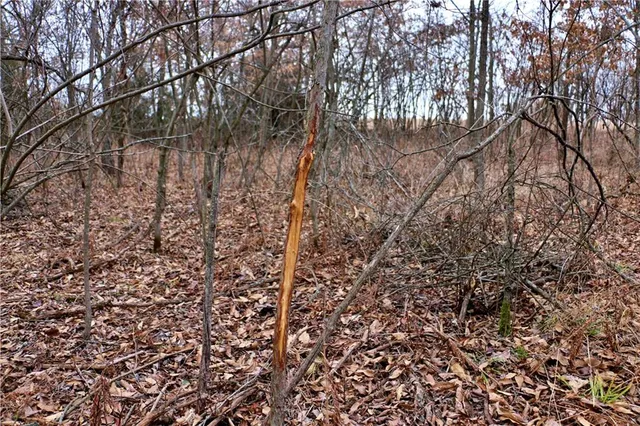 $919,800 | Rodeo Avenue, Brunswick, MO 65236