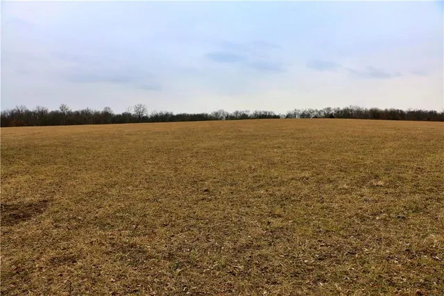 $919,800 | Rodeo Avenue, Brunswick, MO 65236