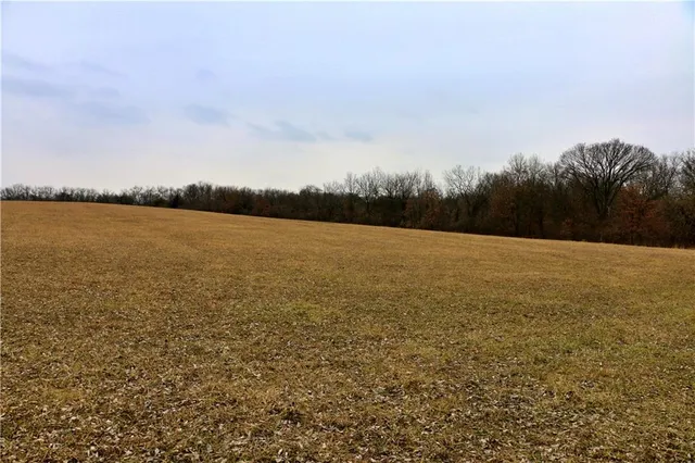 $919,800 | Rodeo Avenue, Brunswick, MO 65236