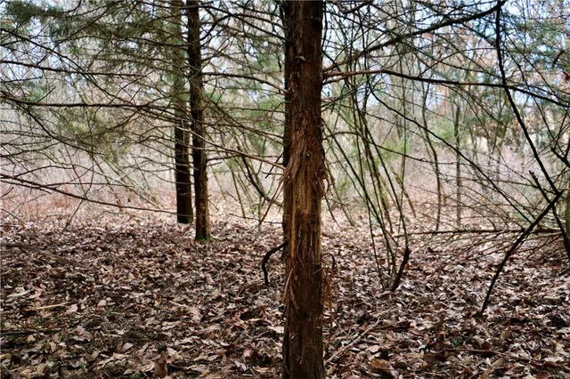 $919,800 | Rodeo Avenue, Brunswick, MO 65236