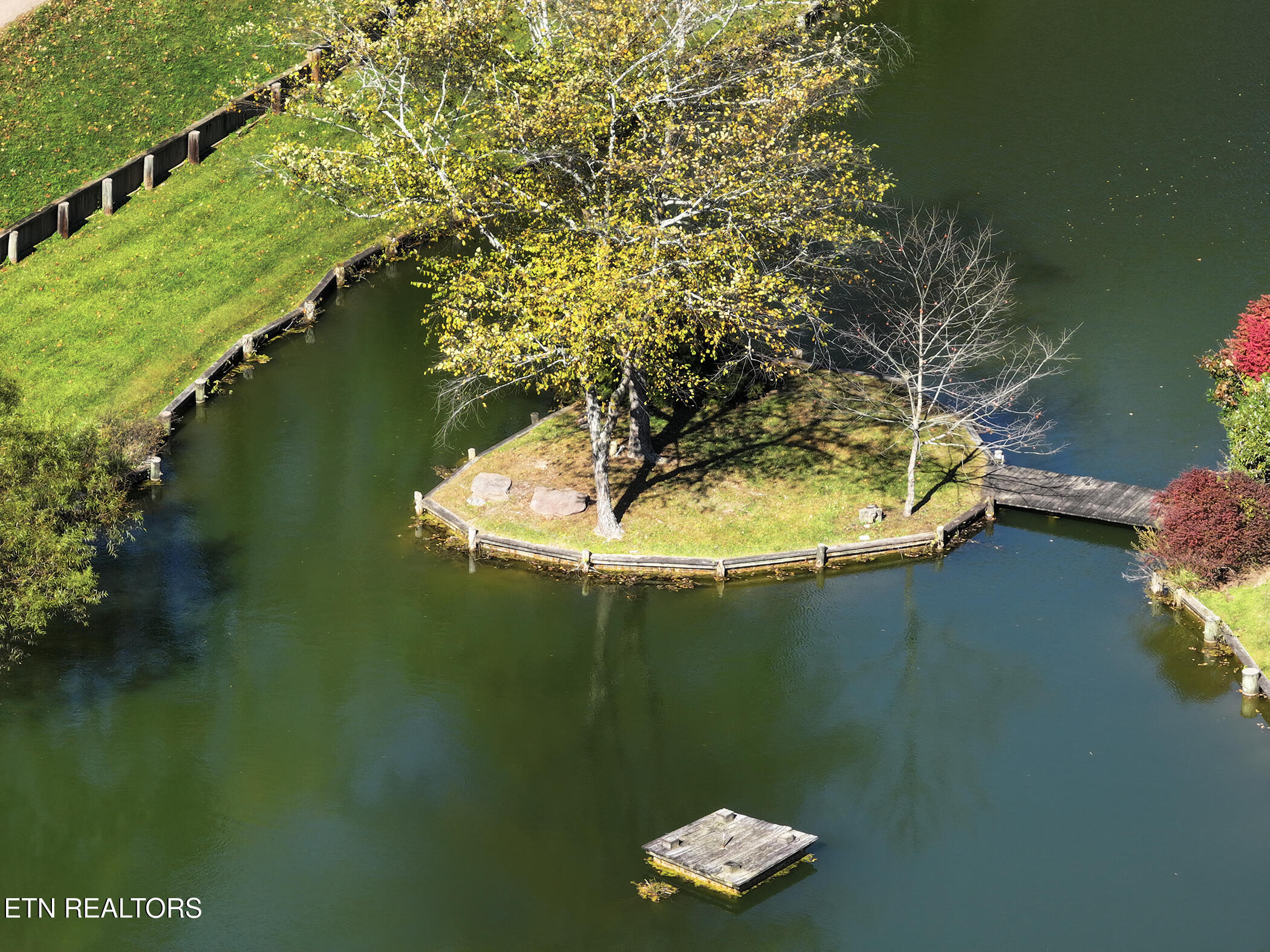 604 Gamble Drive Heiskell, TN 37754 - Photo 6 of 59 Pond