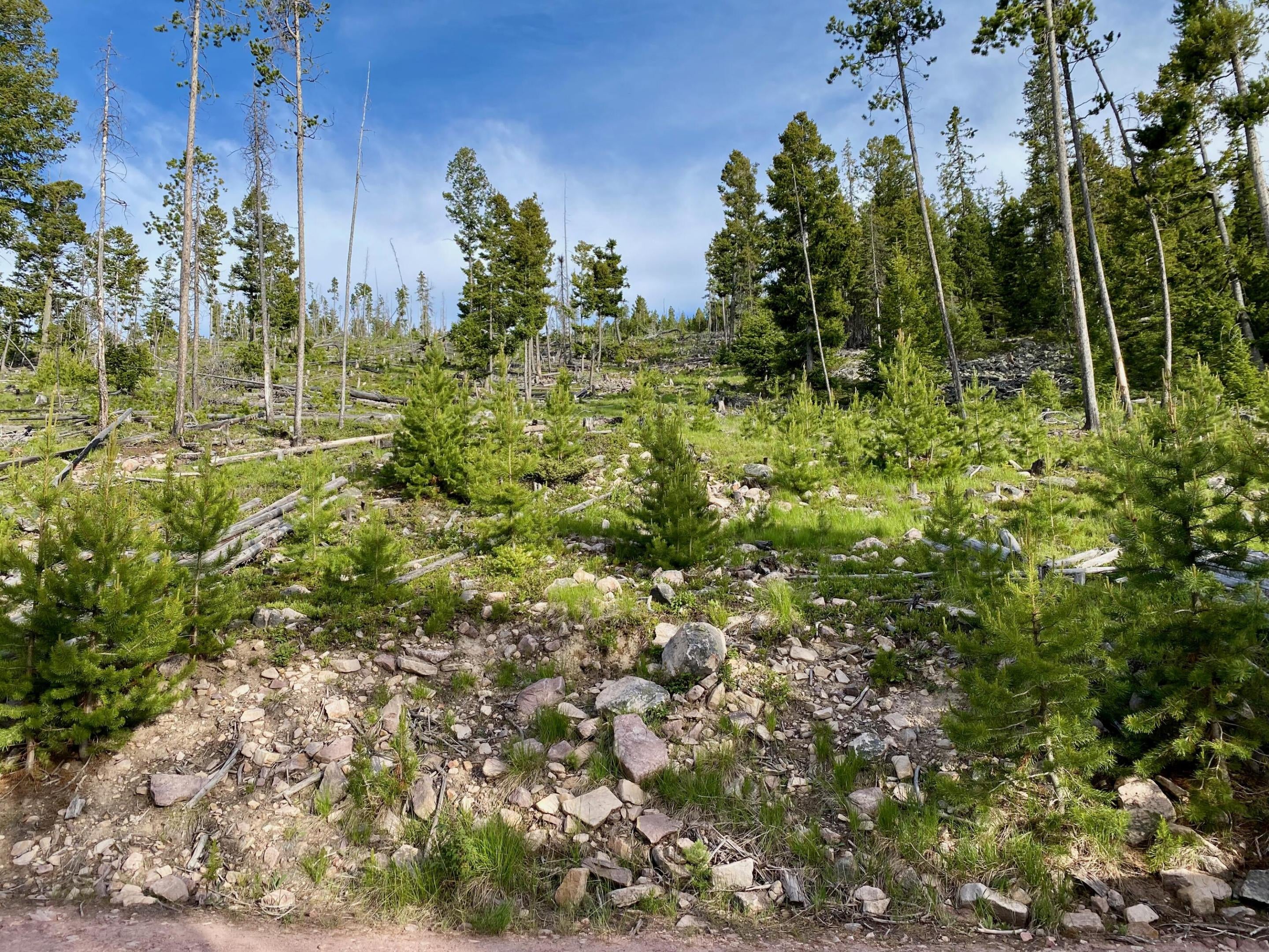 Tbd Trapper Ridge Philipsburg, MT 59858 - Photo 31 of 47 Gallery Image 31