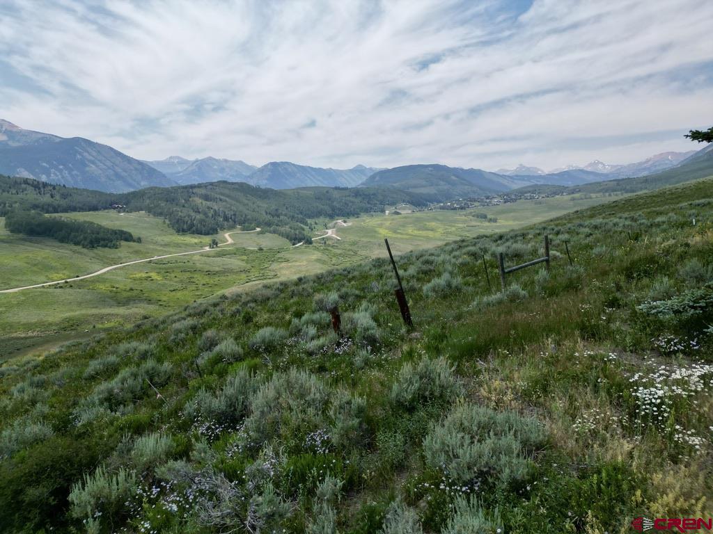19 Buttercup Lane Crested Butte, CO 81225 - Photo 8 of 17 a view of a lush green forest with lots of trees