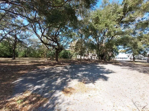 a view of a backyard with large trees